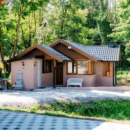 Casa vacanze Forest Pool Zelena Oaza Ivisovo Greblje